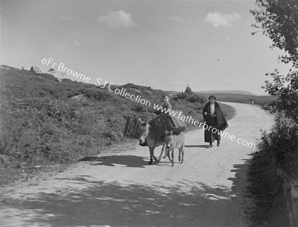 WAYFARERS DONKEY WITH PANNIERS